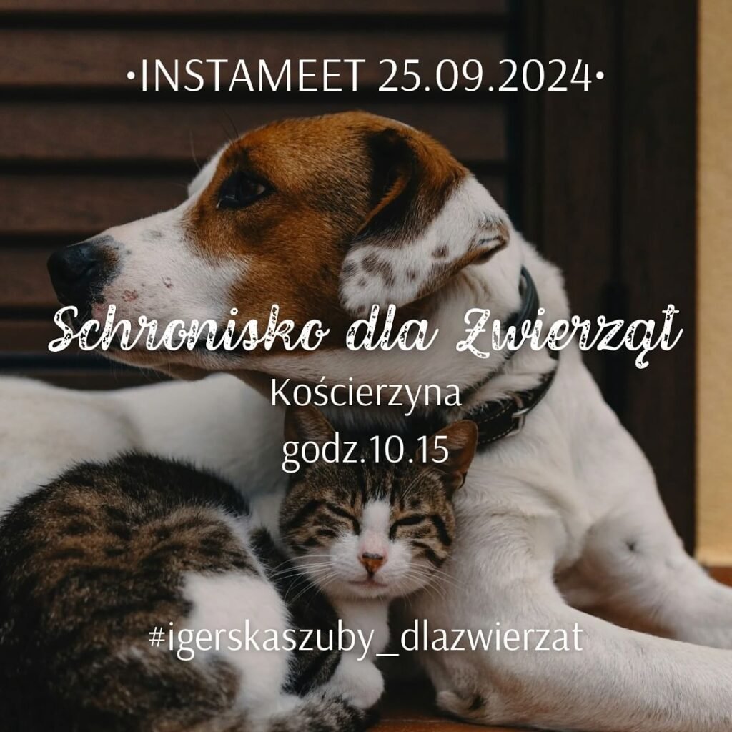 Instameet w Schronisku w Kościerzynie i konkurs z Cat Paw