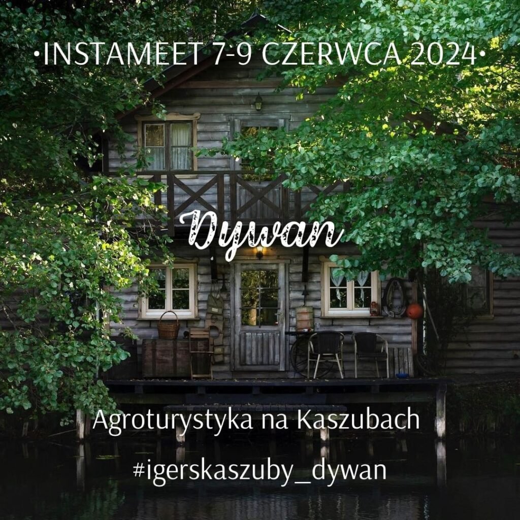 Instameet Dywan